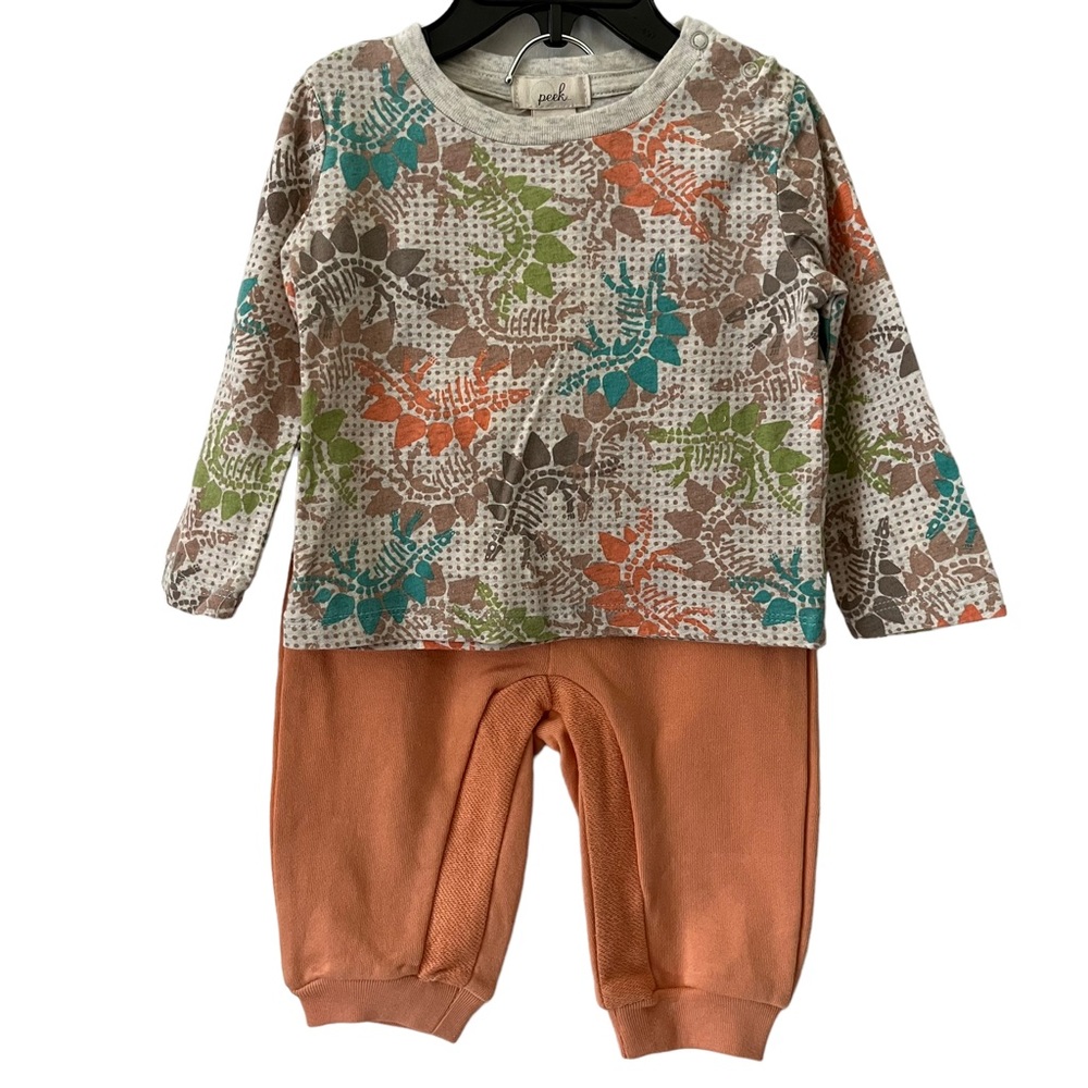 Peek Baby 2-Piece Dinos Print Cotton Top & Pants NWT